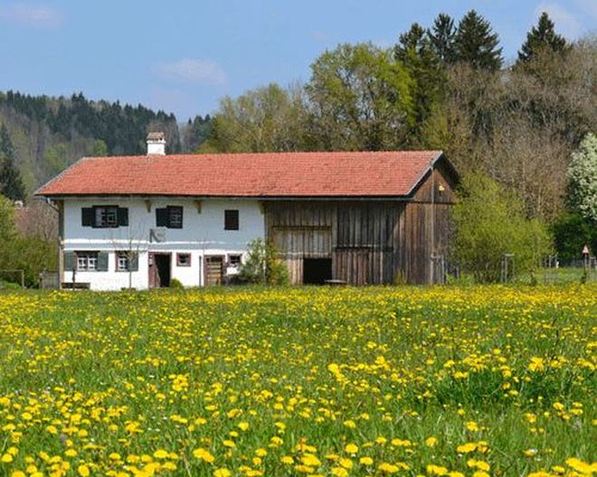 Gelände Bauernhausmuseum Wolfegg