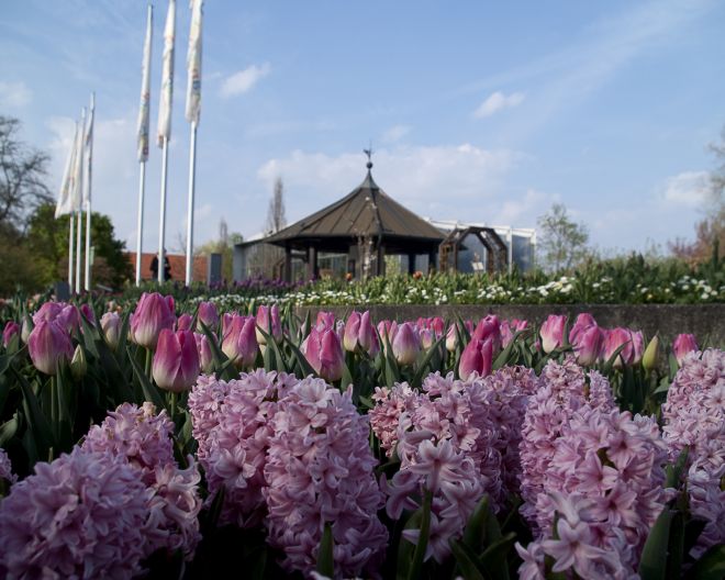 Botanischer Garten Augsburg Infopavillon Frühling