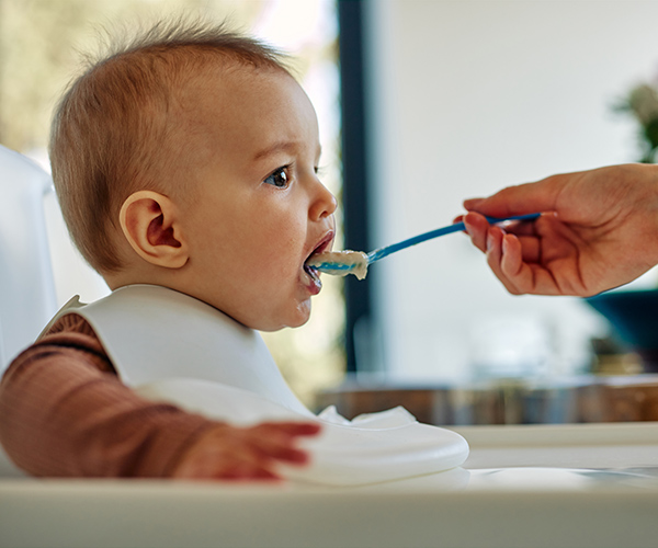 brei beikost gemüse ernährung essen baby füttern