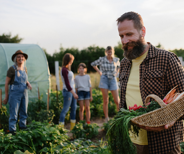 garten gärtnern natur gartenarbeit