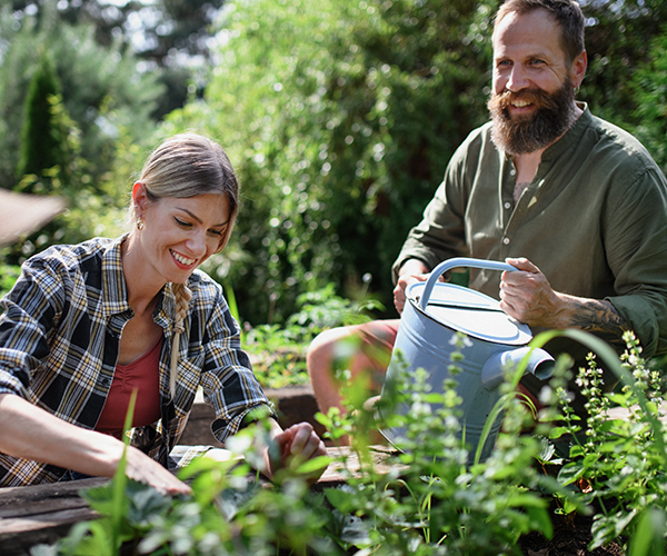 garten gärtnern natur gartenarbeit