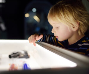 kind entdecken museum forschen freizeit
