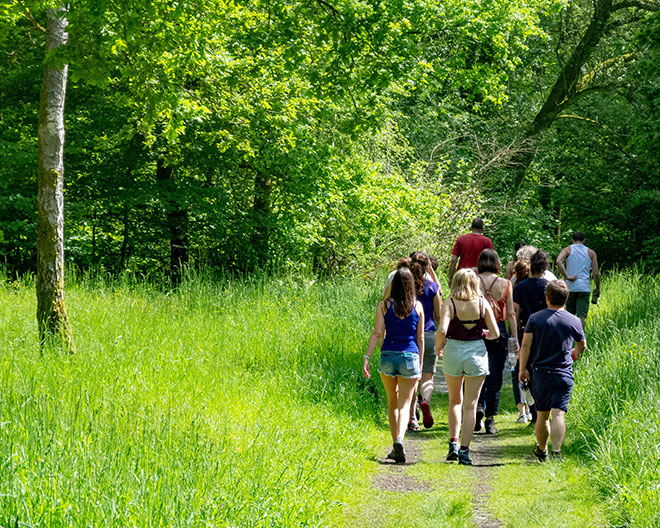 führung natur wanderung erlebnisführung kräuterwanderung sommer