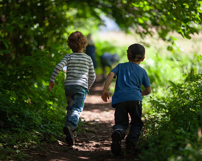 wald kinder spielen waldkita waldspielgruppe wildnis