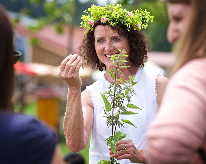 Waldkraeuterfest skywalk