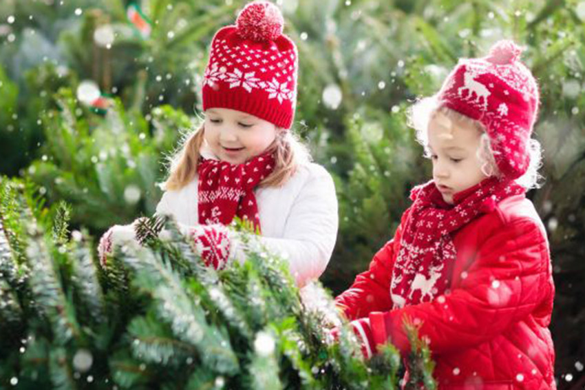 Pfadfinder Bärenkeller