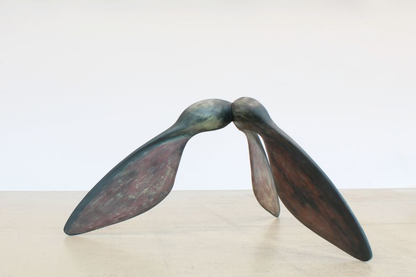 Ausstellung SYMBIOSIS Kunstsammlungen Augsburg