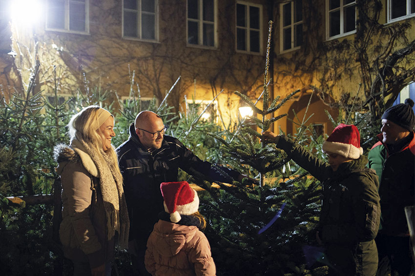 Christbaumverkauf Fuggerei Augsburg Christbäume selber schlagen