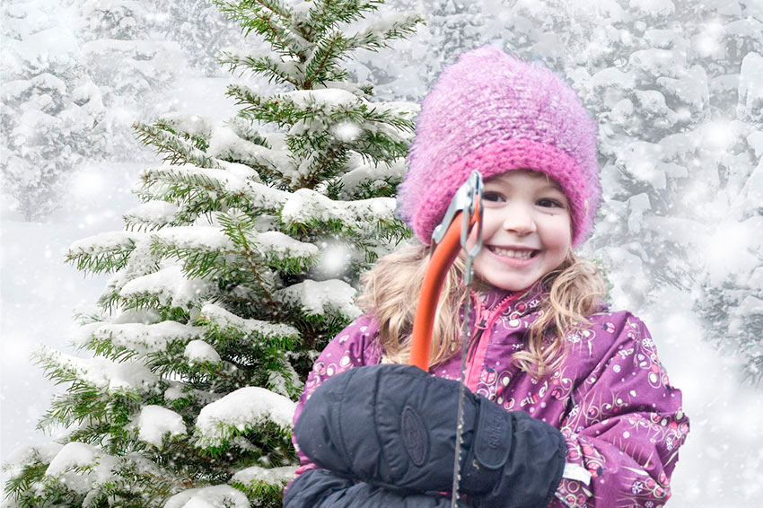 Tannenhof Oberweilbach, Mädchen vor Tannenbaum