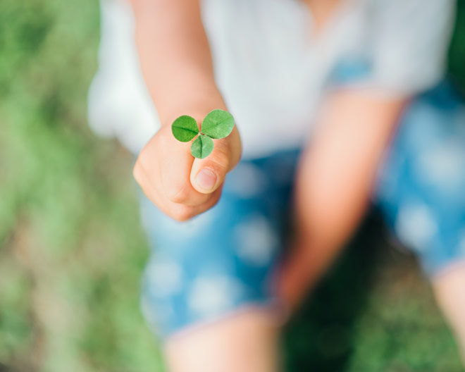 Dreiblättriges Kleeblatt Hand Kind Natur outdoor Ferien wiese Kräuter Käruterwanderung Sonne