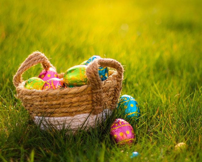 Ostern Schokoladeneier Wiese Körbchen ostereier osterkörbchen frühling eier bunt