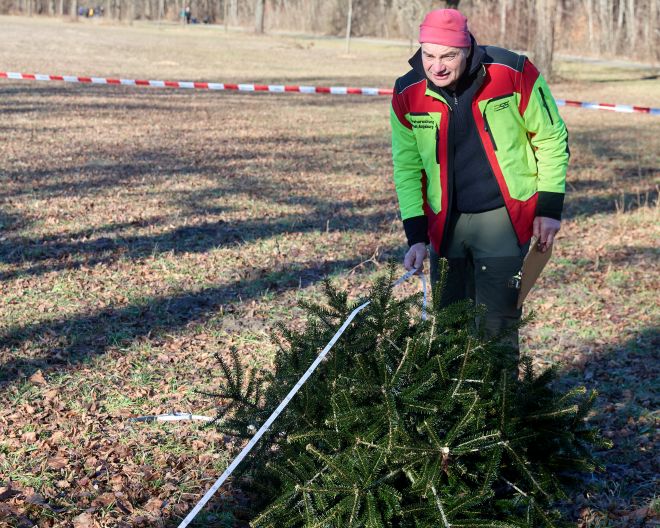 Weihnachtsbaum Weitwurf Augsburg