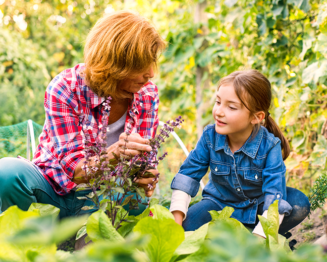 garten gärtnern kräuter natur