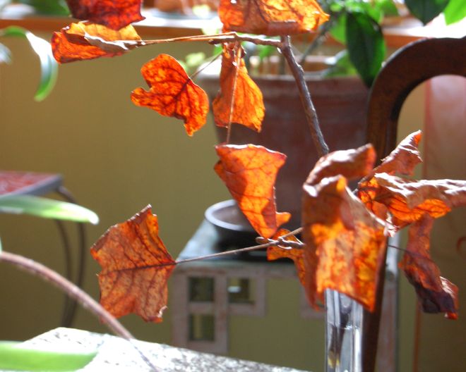 Kunst Kunsttherapie Atelier Susanne Dörfler, Praxis für Gestalt-Kunsttherapie und Atelier